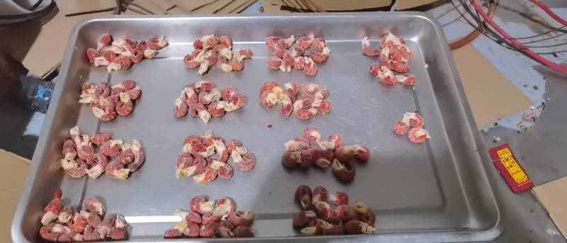 湖北特产单冻小龙虾虾尾无冰衣优质原料规格齐全