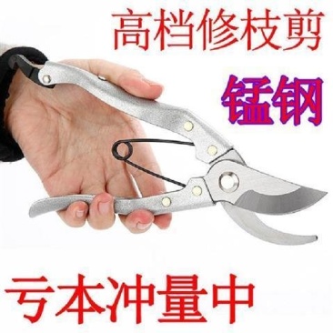 剪枝果树修枝剪刀园艺修剪树枝园林省力修花枝剪家用强力剪子