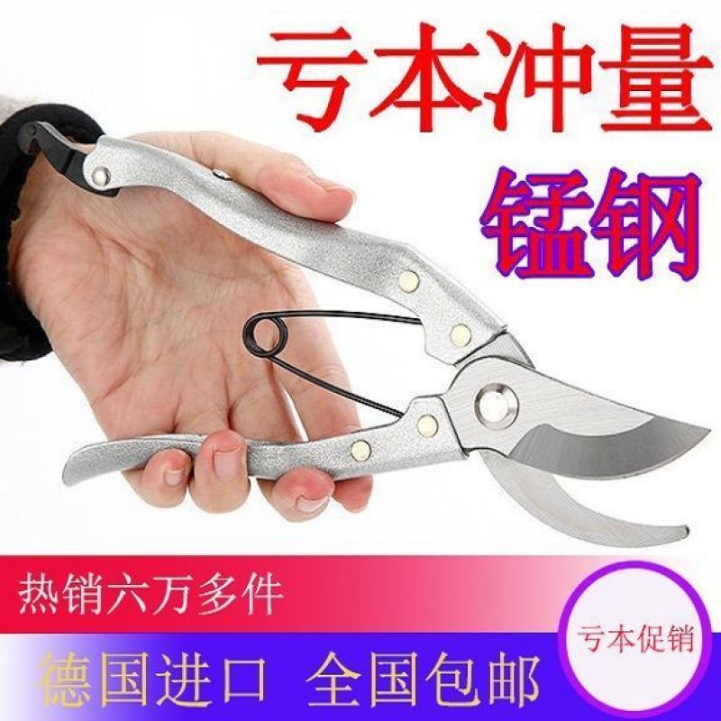 剪枝果树修枝剪刀园艺修剪树枝园林省力修花枝剪家用强力剪子