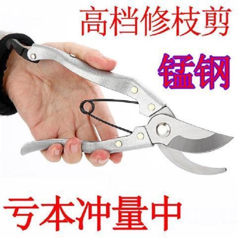 剪枝果树修枝剪刀园艺修剪树枝园林省力修花枝剪家用强力剪子