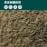 新疆本色火焰山孜然粒烤羊肉串烧烤调料撒料新货孜然碎粉香料
