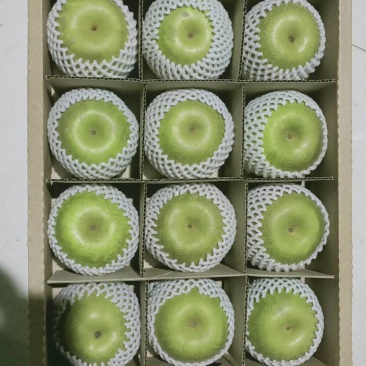翠冠梨