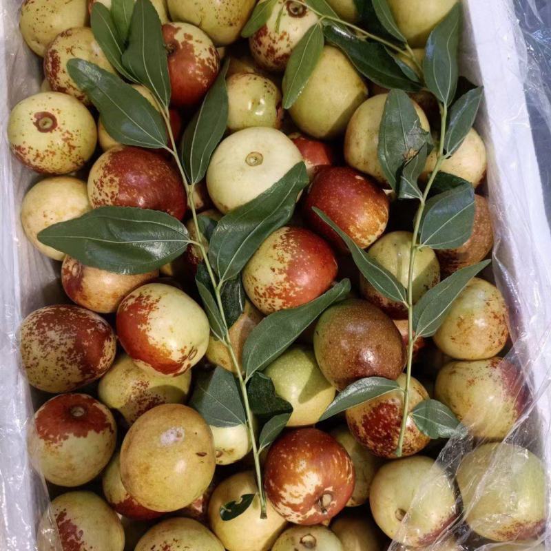 大荔冬枣