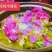 木槿花（食用）可以卖到11月，基地直供货源稳定。