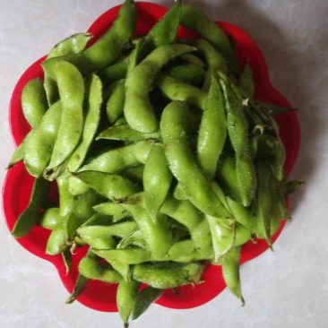 云南大理青毛豆带壳现采现发带杆产地直发