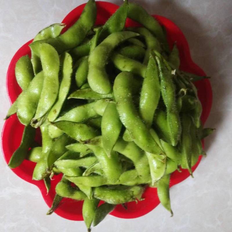 云南大理青毛豆带壳现采现发带杆产地直发