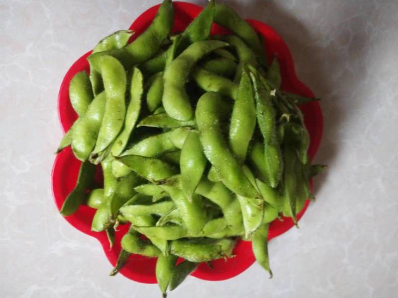 云南大理青毛豆带壳现采现发带杆产地直发
