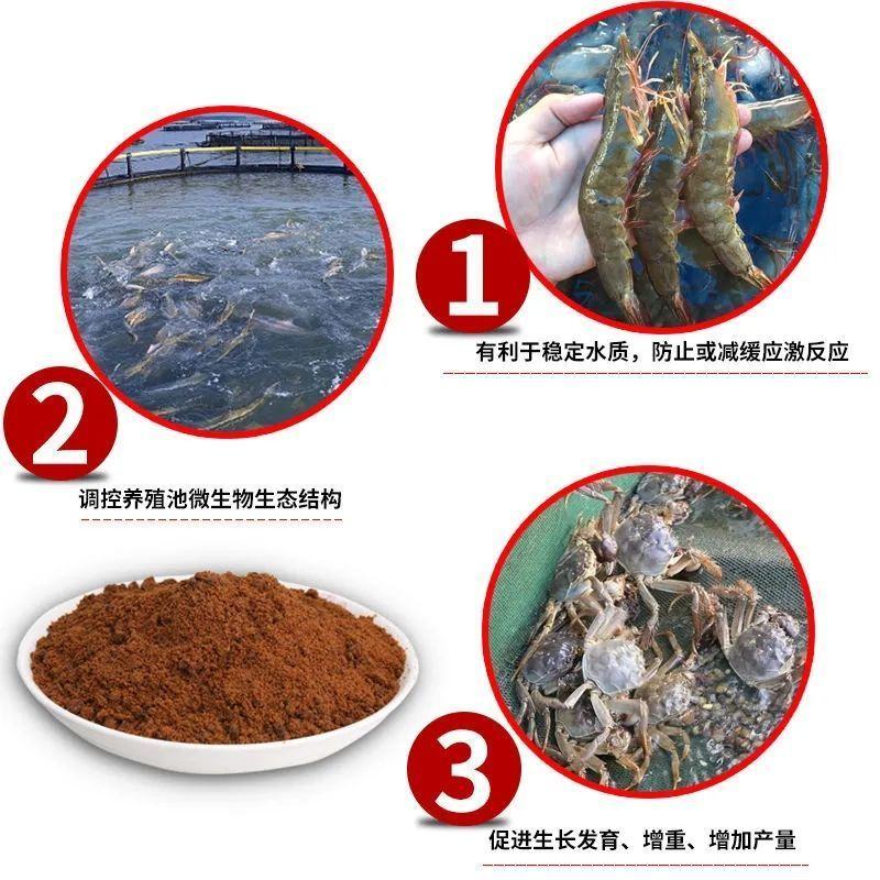 兽用红糖养殖批发厂家猪牛羊水产农用发酵EM畜牧赤砂糖