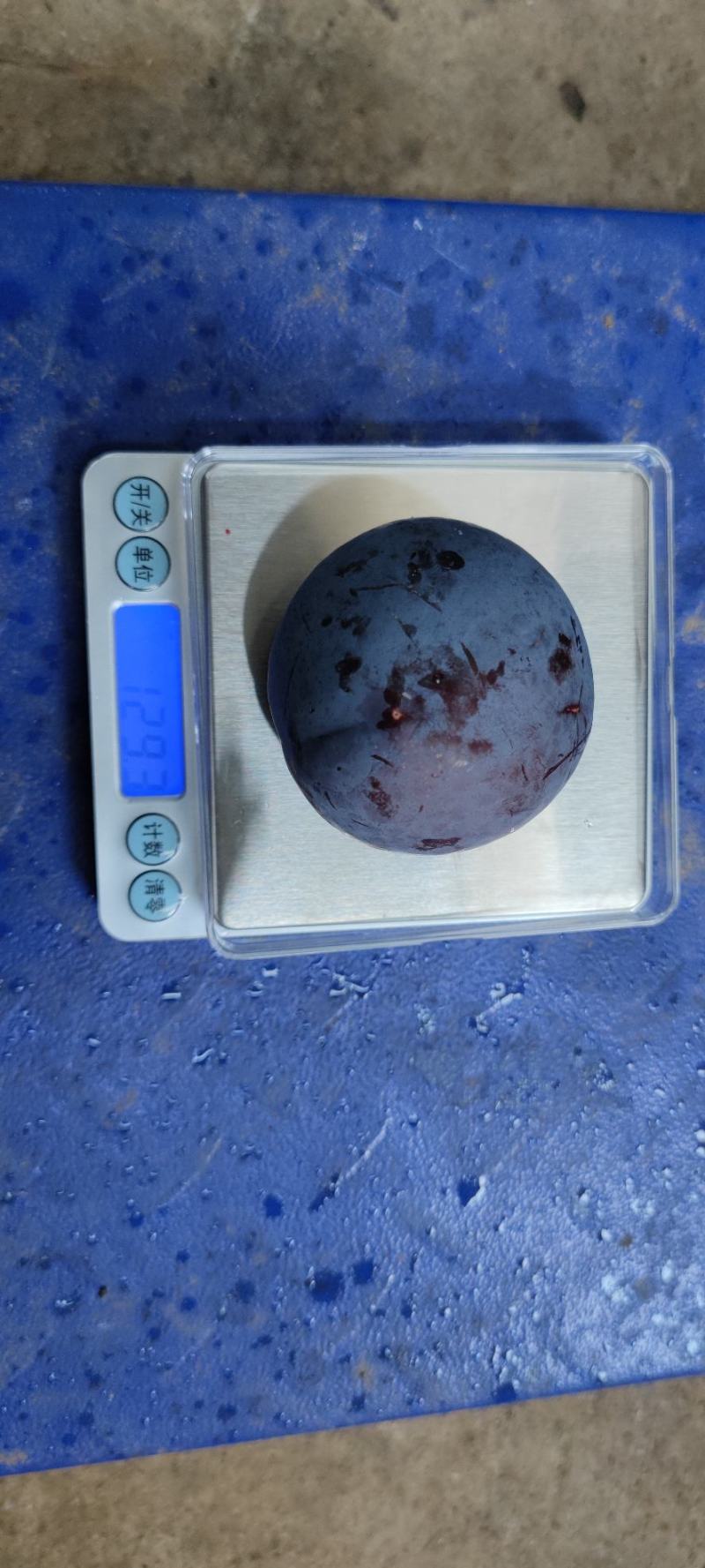 广西桂林灌阳黑李子大量上货酸甜可口核小