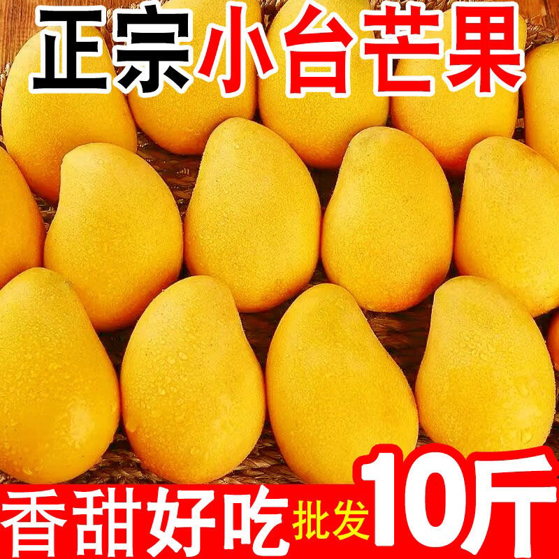 正宗小台芒果台农台芽当季新鲜水果整箱批发电商平台一件代发