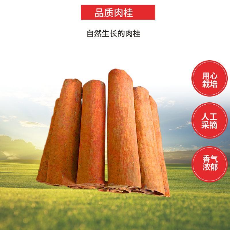 肉桂桂皮批发香料大全家用商用去皮肉桂心卤料炖肉火锅调味料