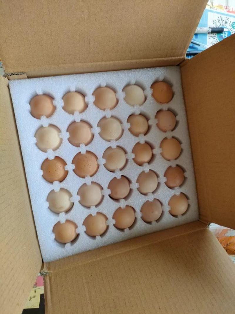 广西桂林市阳朔县散养土鸡蛋50g左右食用，品质保证