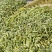 甘肃小茴香颗粒小茴香粉香料籽调料孜然炒卤炖肉花椒香叶桂皮