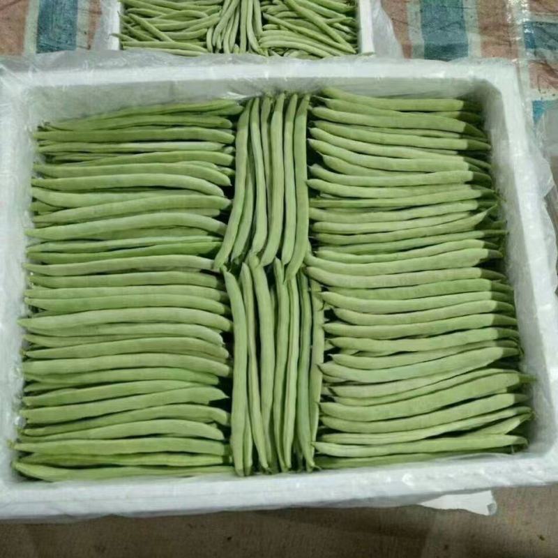 【新鲜供应】湖北高山四季豆量大质优，产地直销，价格优惠