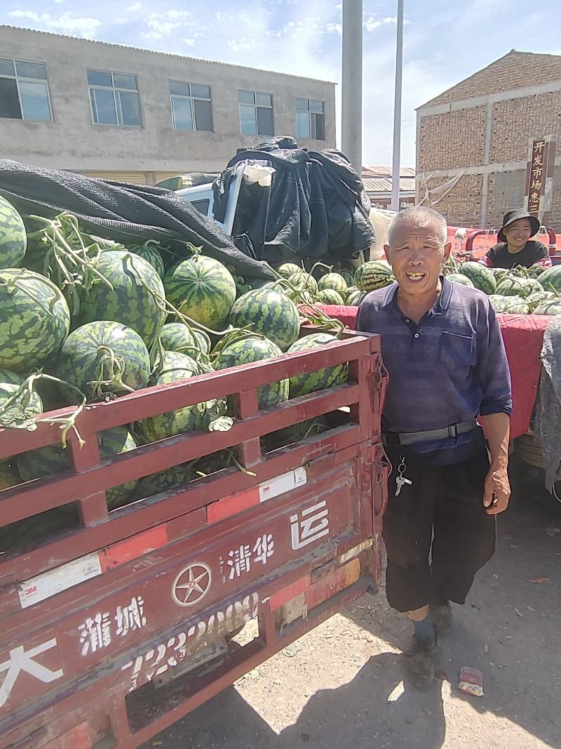 甜王西瓜价位合适东西美丽
