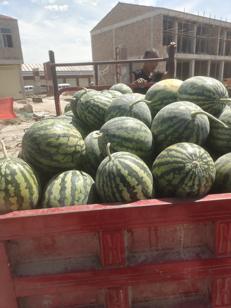 甜王西瓜价位合适东西美丽