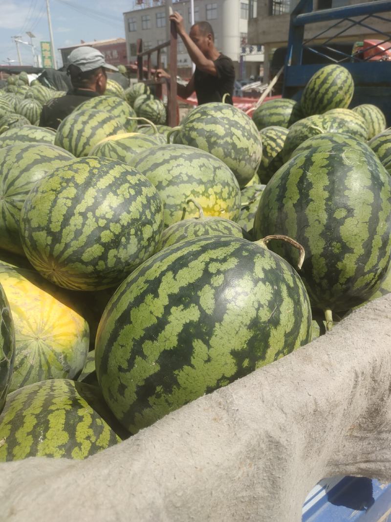 甜王西瓜价位合适东西美丽