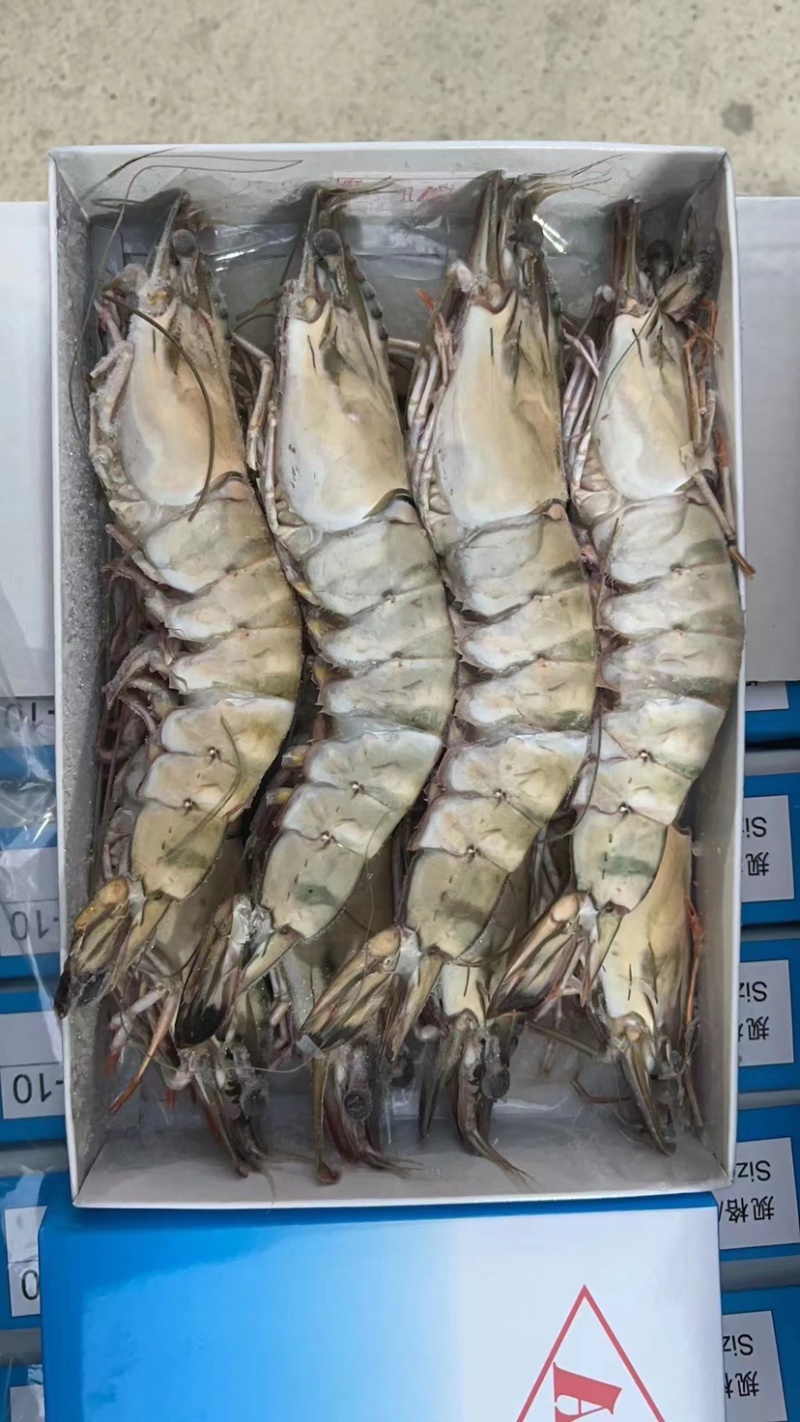 超大黑虎虾新鲜速冻单只18-20厘米左右、