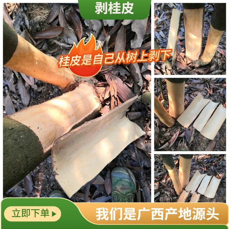 广西桂皮碎干货肉桂碎调味料香料火锅底料卤料大料烧烤料桂碎