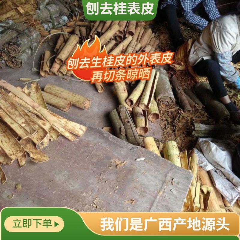 广西桂皮碎干货肉桂碎调味料香料火锅底料卤料大料烧烤料桂碎