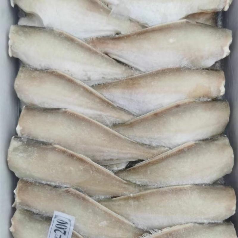东海精品马面鱼一手货源原产地厂家对接大型商超批发商采购