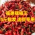 正宗福建辣椒王干辣椒整个批发超辣厚皮耐煮卤肉周黑鸭专用调