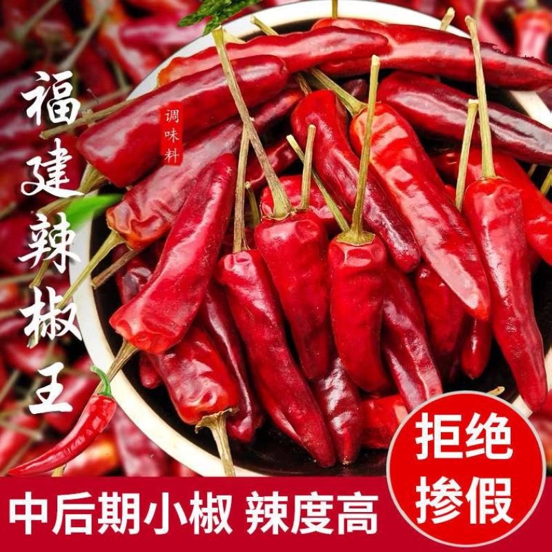 正宗福建辣椒王干辣椒整个批发超辣厚皮耐煮卤肉周黑鸭专用调
