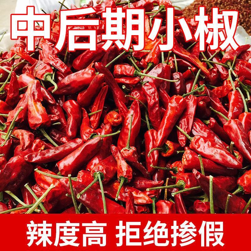 正宗福建辣椒王干辣椒整个批发超辣厚皮耐煮卤肉周黑鸭专用调
