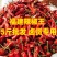 正宗福建辣椒王干辣椒整个批发超辣厚皮耐煮卤肉周黑鸭专用调