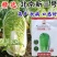 北京新三号白菜种子秋播抗病高产筒型耐寒冬储大白菜种子