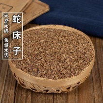 蛇床子蛇床籽中药材批发中药材起批蛇床子无杂质