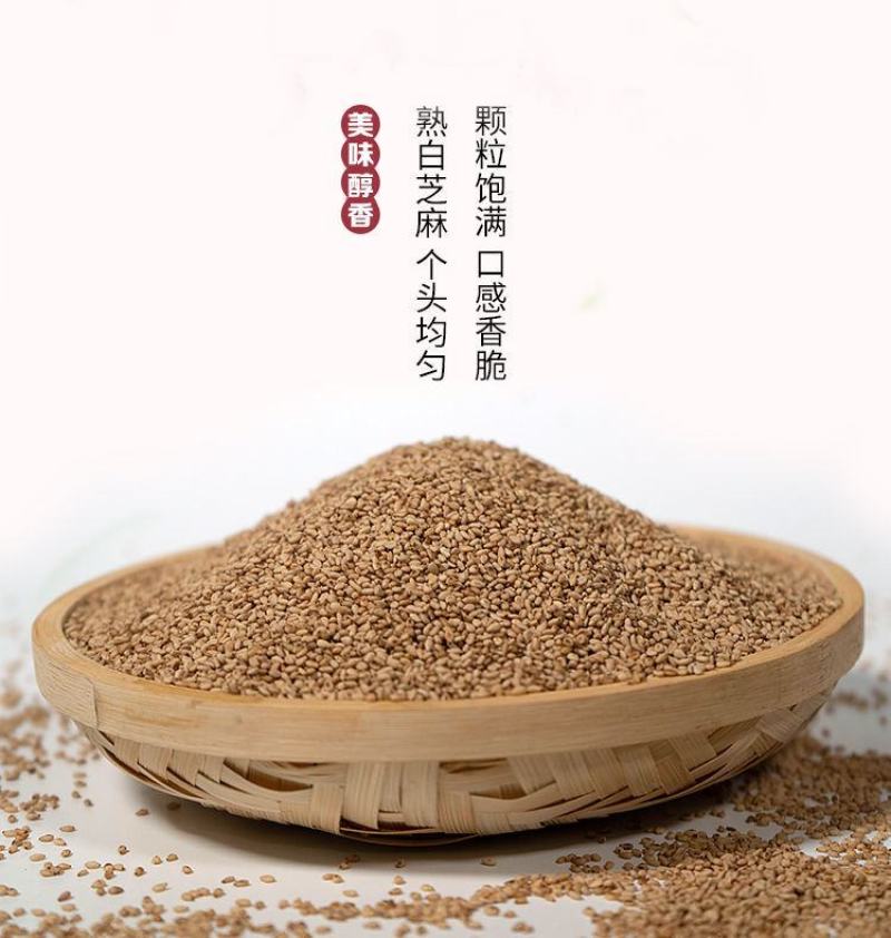 炒熟白芝麻农家自制白芝麻100g/250g/500g免洗