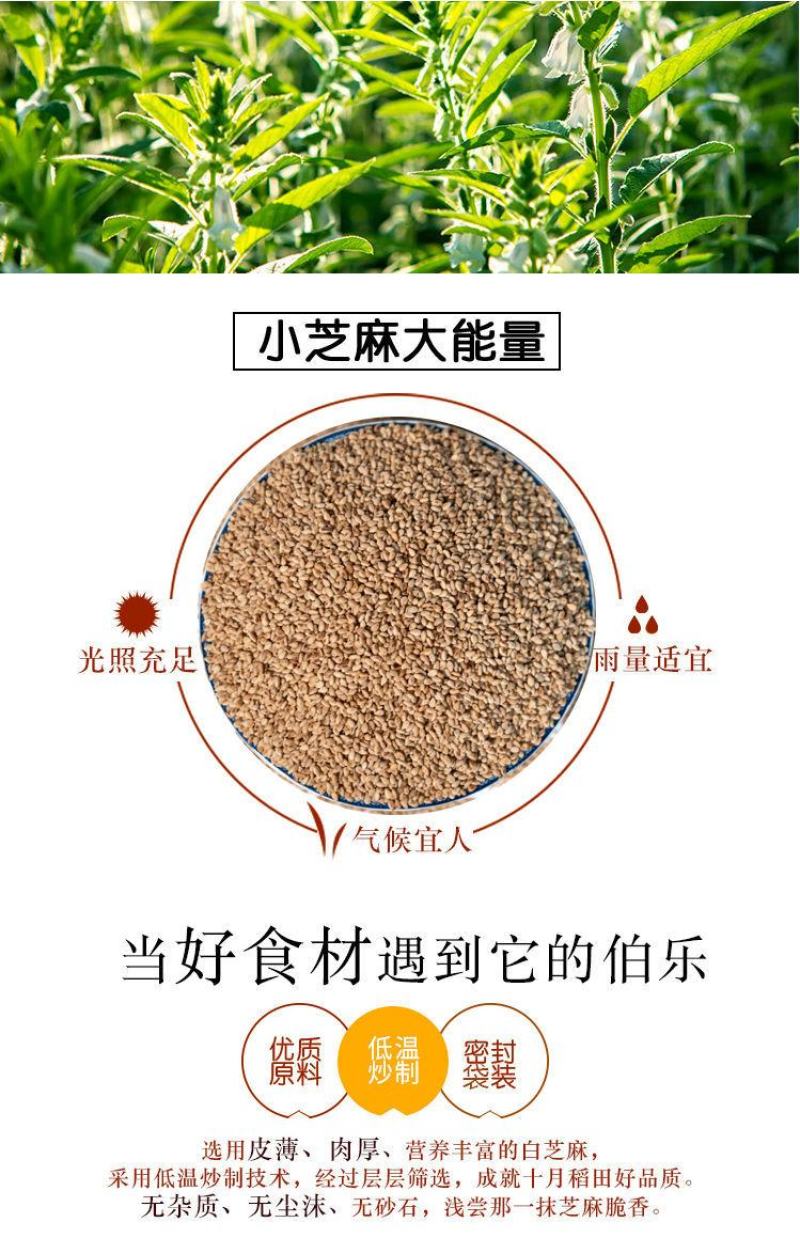 炒熟白芝麻农家自制白芝麻100g/250g/500g免洗