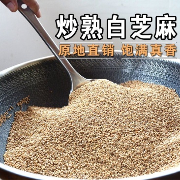 炒熟白芝麻农家自制白芝麻100g/250g/500g免洗