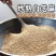 炒熟白芝麻农家自制白芝麻100g/250g/500g免洗