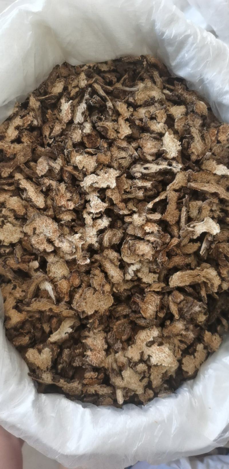 朱砂点苍术500g产地山东振兴药材购销站量大从优