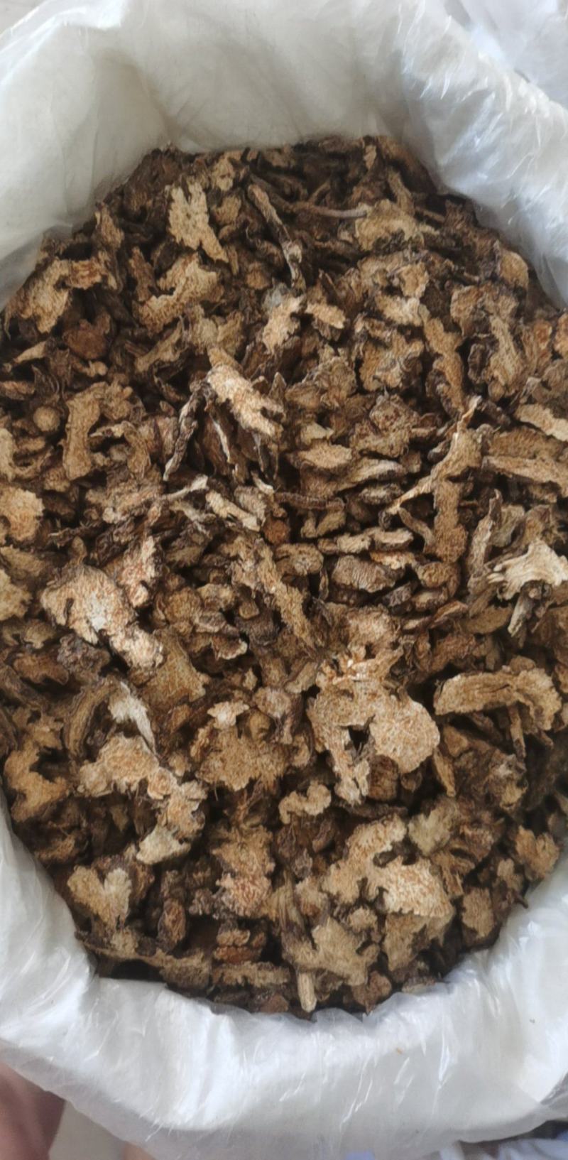 朱砂点苍术500g产地山东振兴药材购销站量大从优