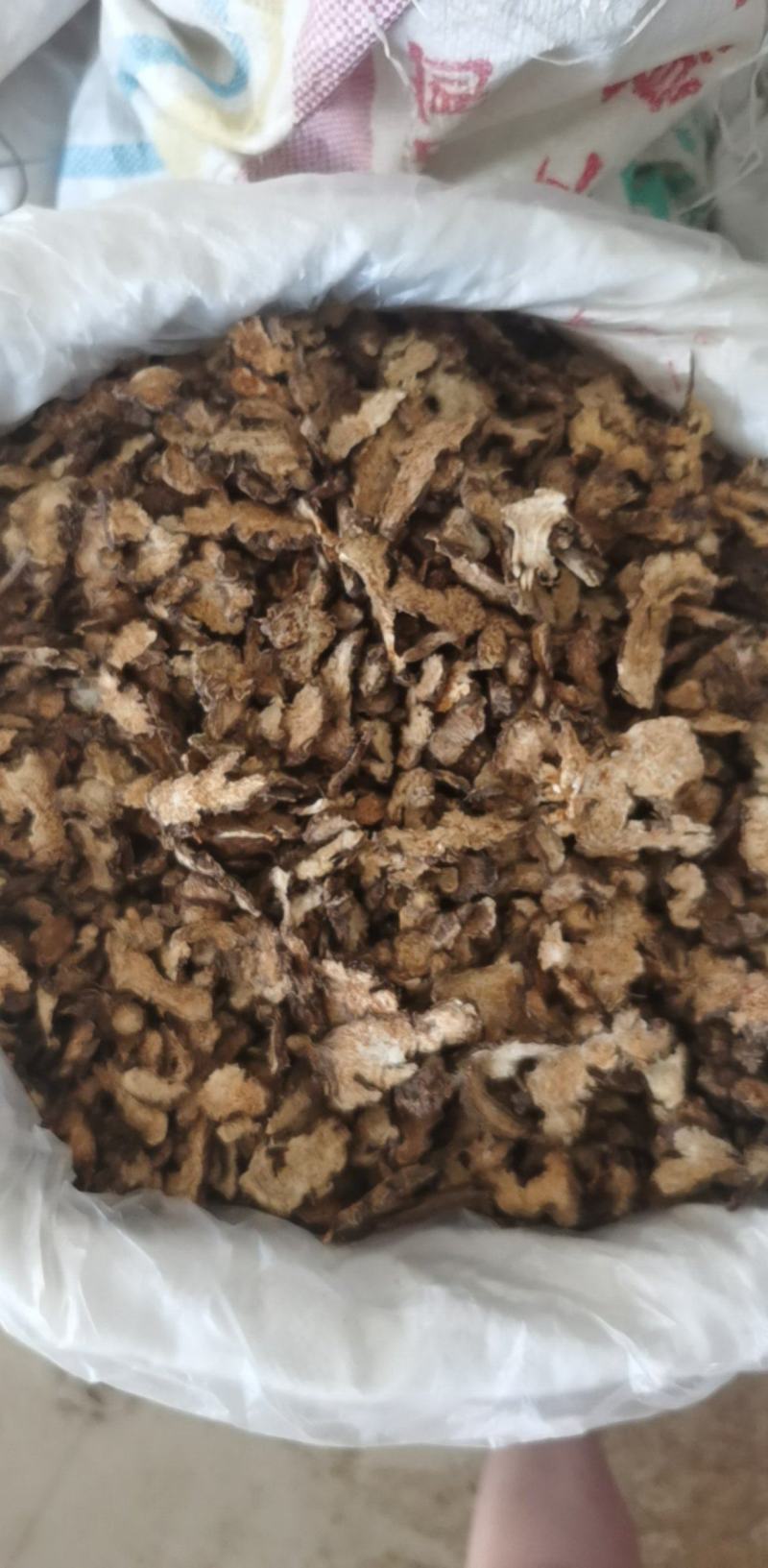 朱砂点苍术500g产地山东振兴药材购销站量大从优