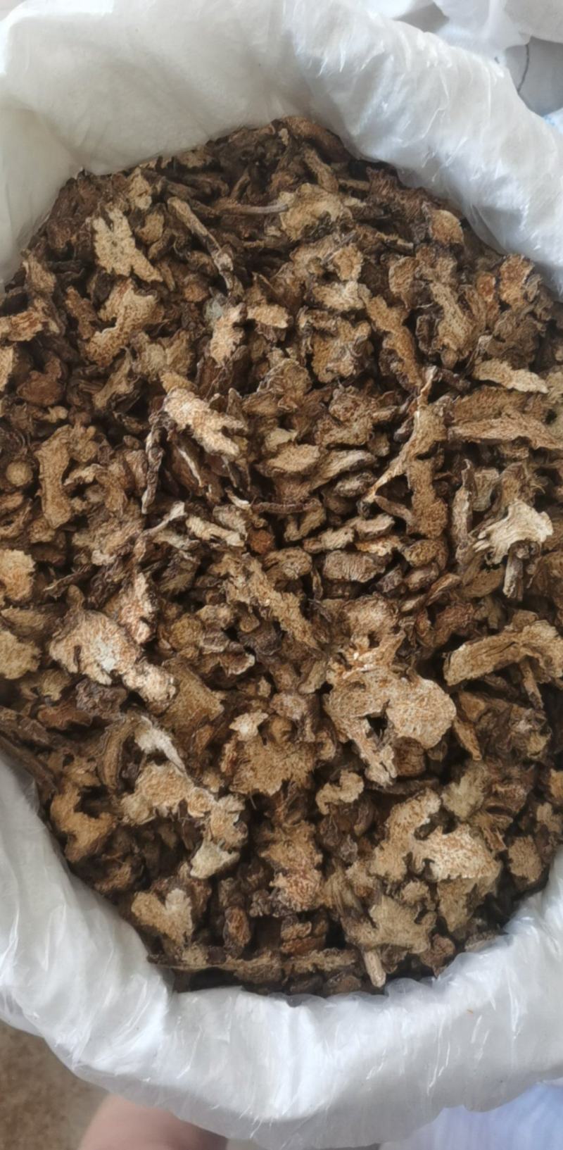 朱砂点苍术500g产地山东振兴药材购销站量大从优