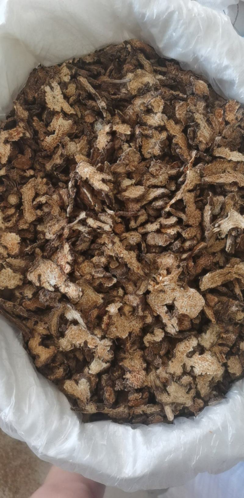 朱砂点苍术500g产地山东振兴药材购销站量大从优