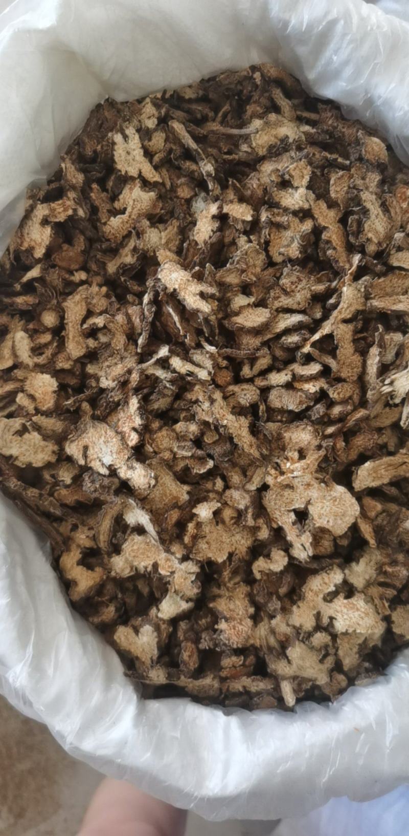 朱砂点苍术500g产地山东振兴药材购销站量大从优