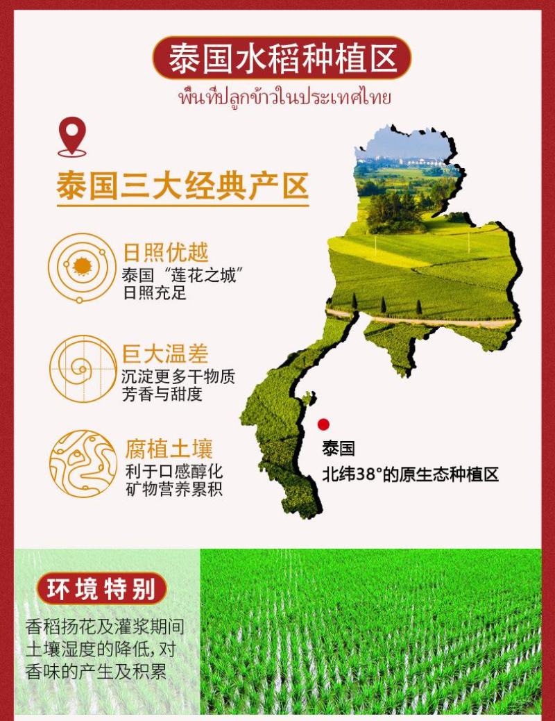 迈拿慕原装进口乌汶府泰国茉莉香米20斤厂家直批10KG原