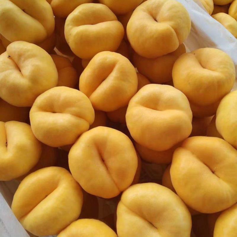 中潘十一，十三黄桃，蟠桃品种多。精品。通货。等等，大量有