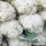 甘肃定西有机花高原松花菜青根白面花菜基地直供新鲜直采