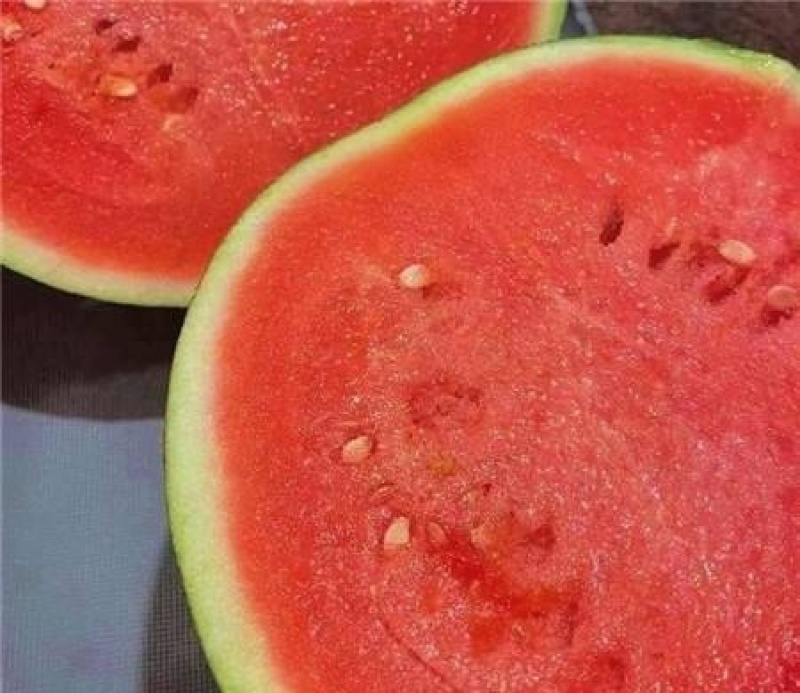 当季麒麟瓜