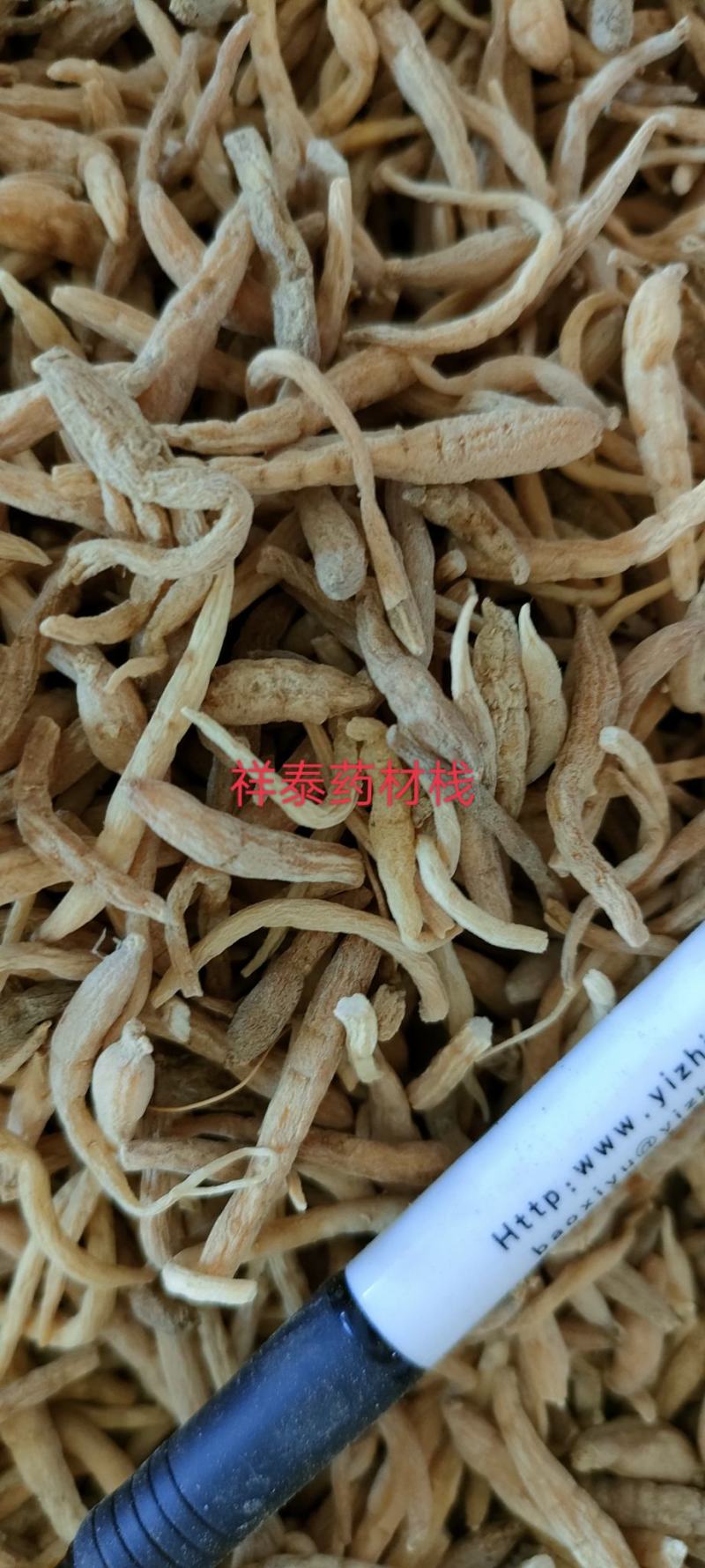 （热销）太子参实物拍摄量多从优产地大货祥泰药材栈中药材