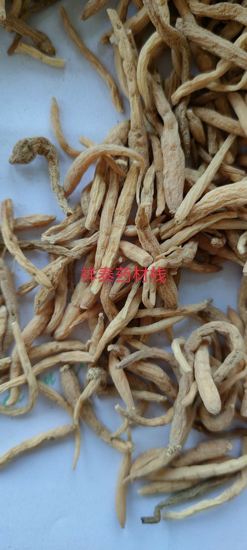 （热销）太子参实物拍摄量多从优产地大货祥泰药材栈中药材