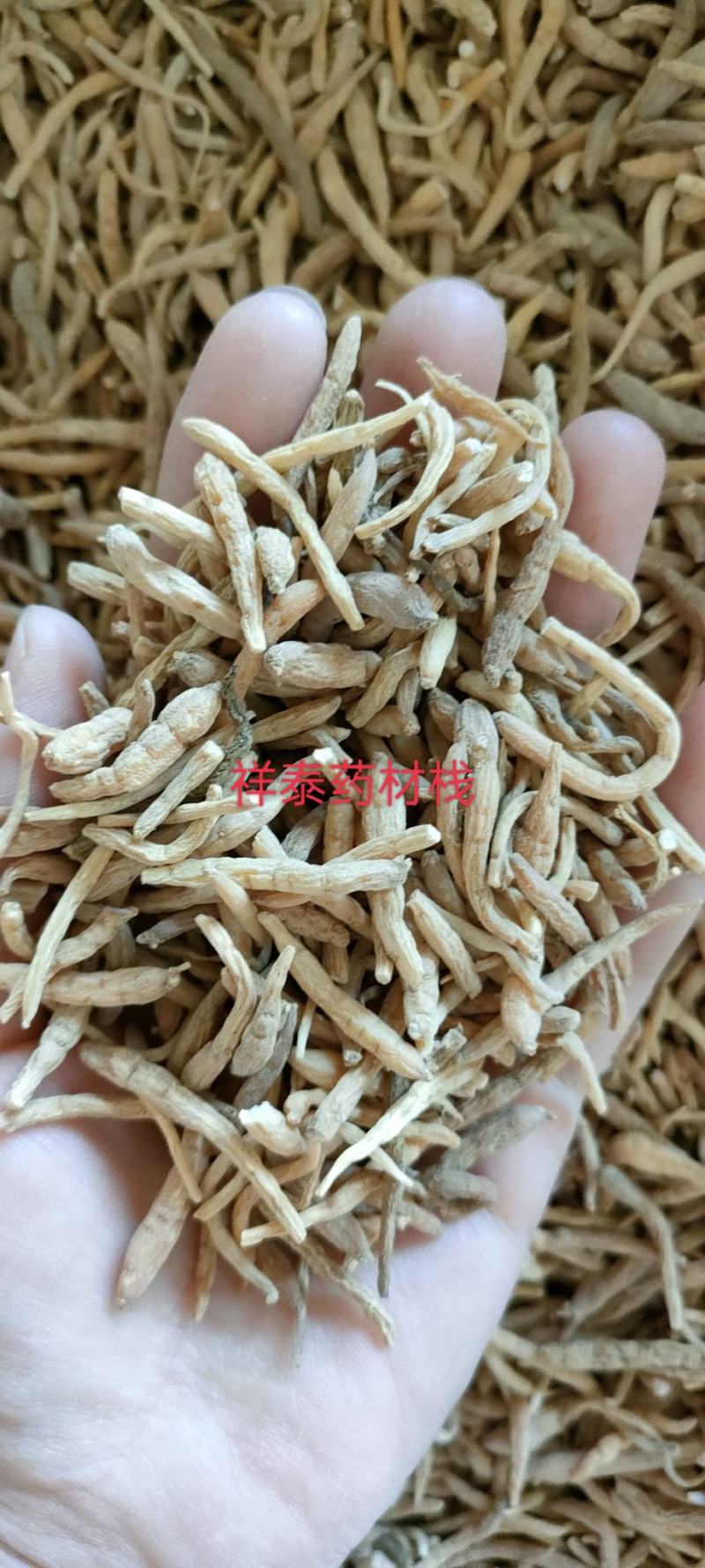 （热销）太子参实物拍摄量多从优产地大货祥泰药材栈中药材
