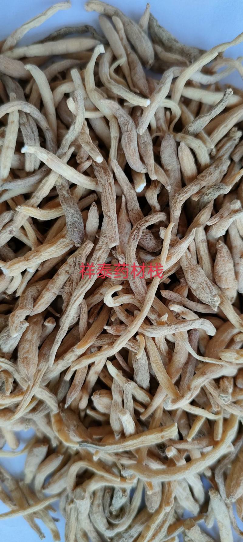 （热销）太子参实物拍摄量多从优产地大货祥泰药材栈中药材
