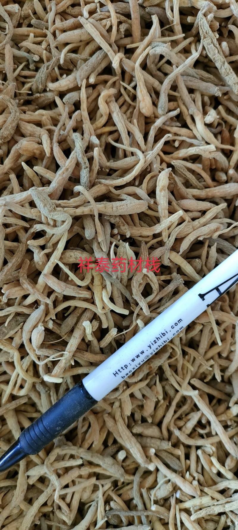 （热销）太子参实物拍摄量多从优产地大货祥泰药材栈中药材